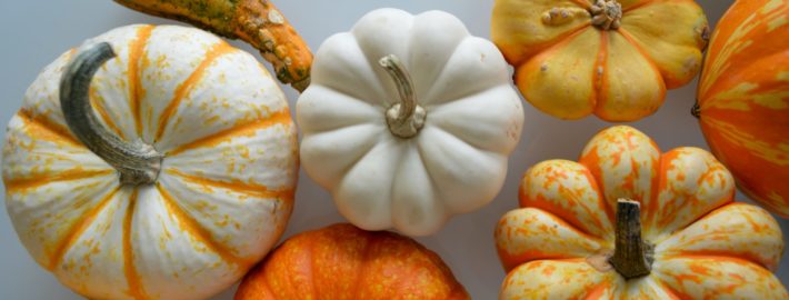 Virtual Cooking Demo Pumpkin scaled e1690045918989