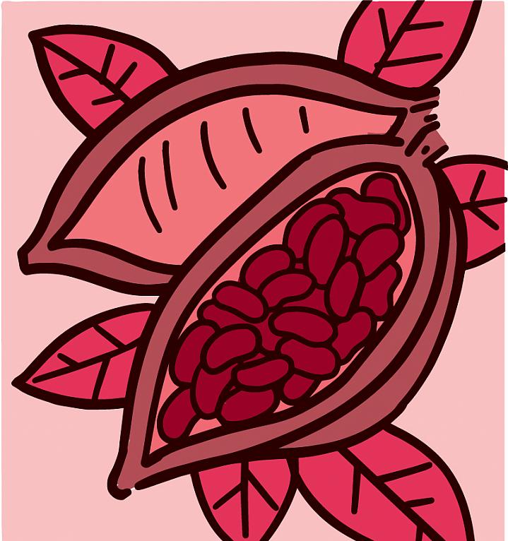 Chocolate health claims: Sweet truth or bitter reality? 1 bright pink illustration of cocoa plant