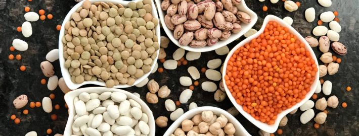 plant proteins